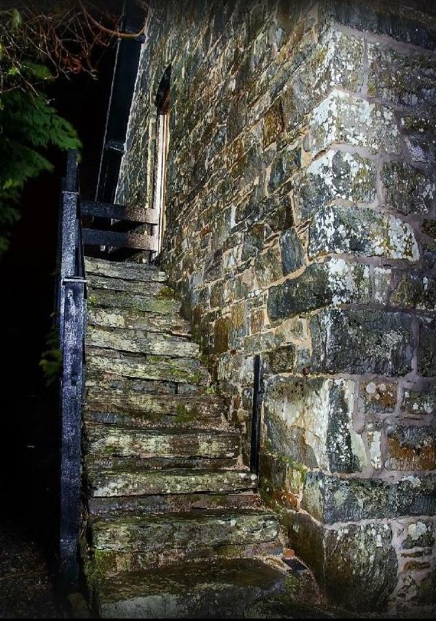 Dolifor Διαμέρισμα Llanwrthwl Εξωτερικό φωτογραφία